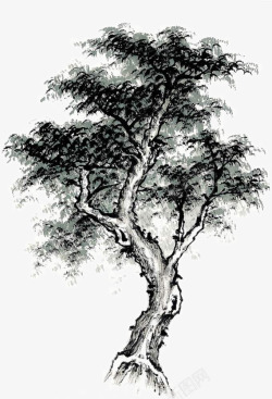 树的画法素材