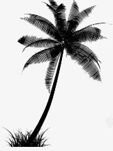 黑色椰子树树影高清图片