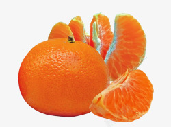 橙色桔子素材
