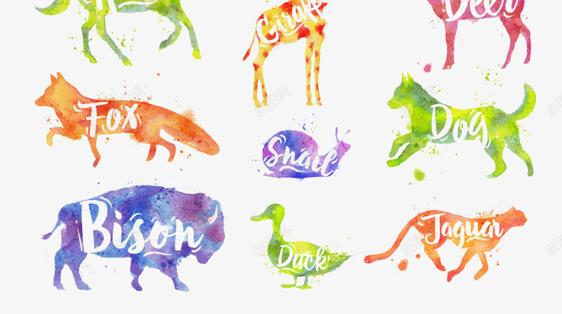 动物世界png免抠素材_新图网 https://ixintu.com 各种动物 手绘 水彩 犀牛 狮子 狼