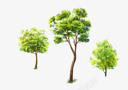 高清逼真视频彩绘绿树高清图片