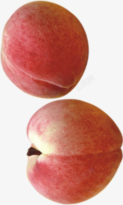 两个桃水果高清图片