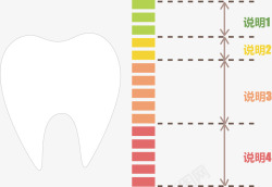 牙齿保养说明图素材