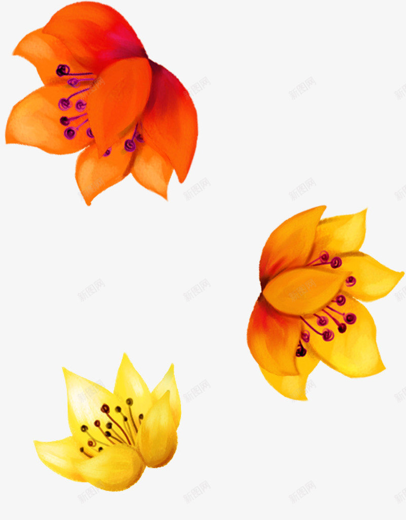 创意手绘扁平橙色的花卉植物png免抠素材_新图网 https://ixintu.com 创意 扁平 植物 橙色 花卉