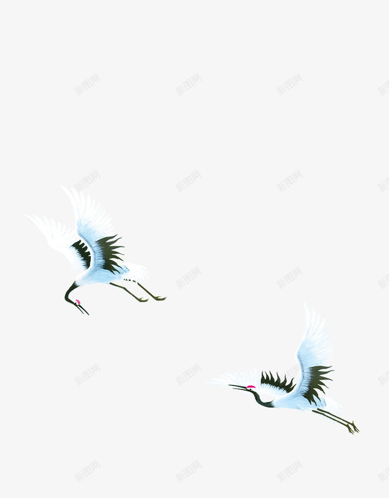 两只白鹤自由飞翔png免抠素材_新图网 https://ixintu.com 白鹤 自然 自由 飞翔