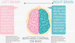 左右大脑对比图表矢量图素材