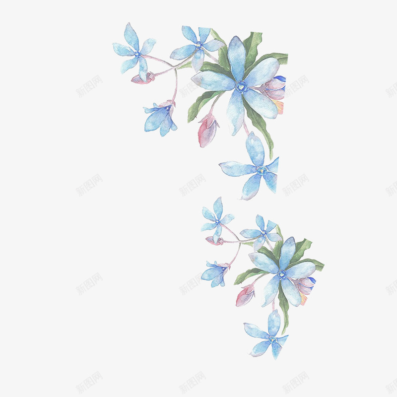 彩绘蓝色花朵png免抠素材_新图网 https://ixintu.com 卡通 彩绘 手绘 水墨 简图 花朵 蓝色 装饰