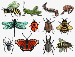 彩绘蜜蜂矢量图昆虫矢量图高清图片