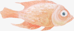 粉色手绘的海洋鱼素材