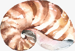 椅子海难卡通贝壳海螺手绘水彩条纹海螺高清图片