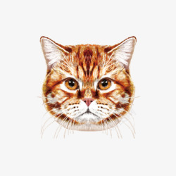 手绘猫咪素材