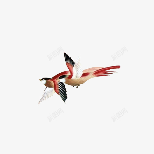 展翅飞翔的鸟png免抠素材_新图网 https://ixintu.com 小鸟 矢量装饰 翅膀 装饰 飞着的鸟 鸟