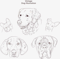素描的各种小狗矢量图素材