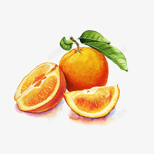 写实画风橘子png免抠素材_新图网 https://ixintu.com 橘子 橙色桔子 水果 瓜果