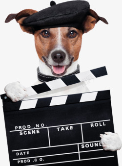 生活电影拿着报幕牌的狗高清图片