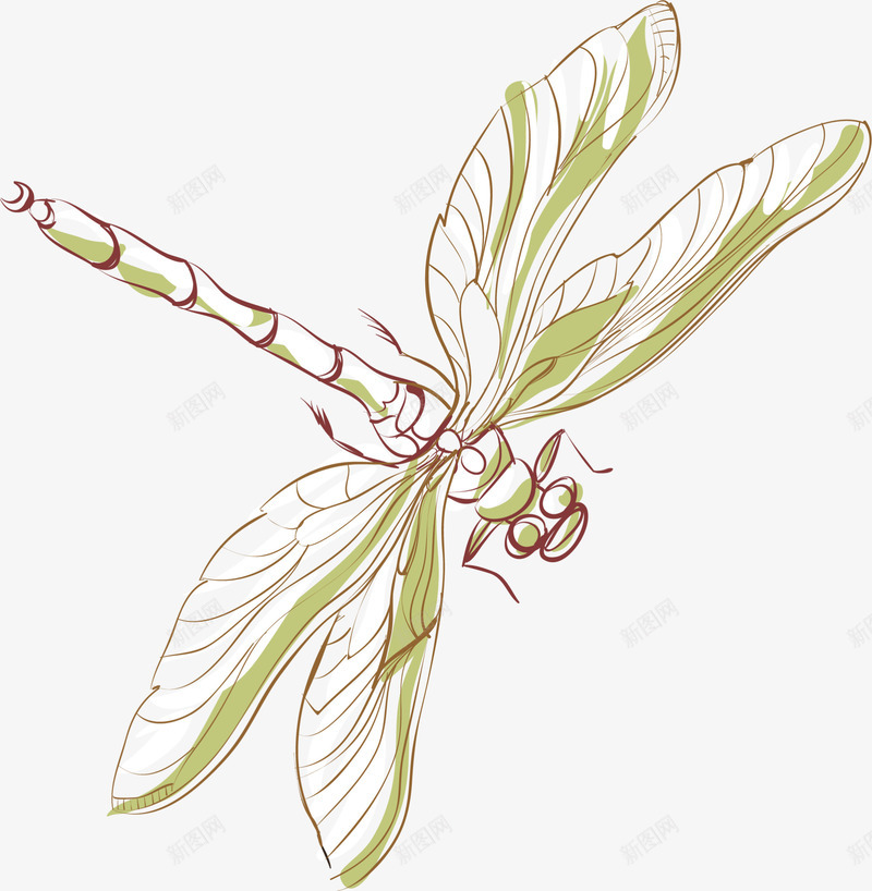 手绘绿色蜻蜓png免抠素材_新图网 https://ixintu.com 一只蜻蜓 手绘蜻蜓 画画 绘画 绿色蜻蜓