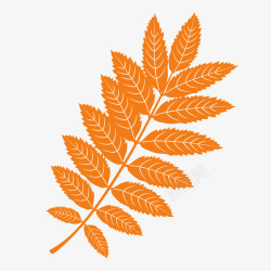 橙白色卡通尖角倒刺树叶矢量图素材