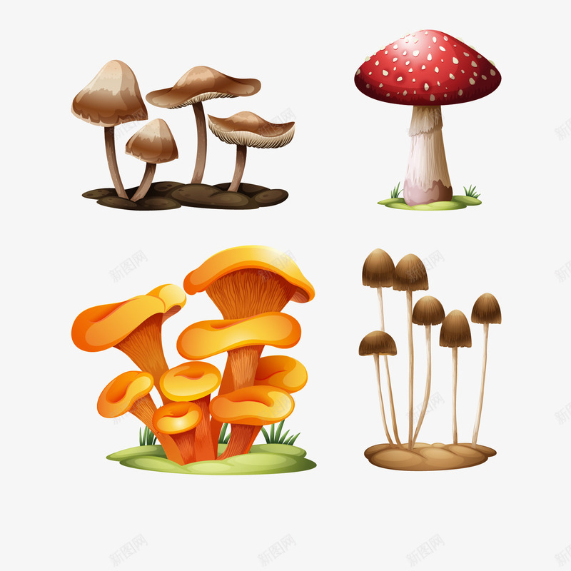 卡通手绘蘑菇造型装饰png免抠素材_新图网 https://ixintu.com 卡通 各种造型蘑菇 手绘 童趣 蘑菇 装饰矢量图