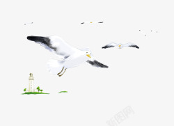 黑色禽类卡通手绘飞翔鸥高清图片