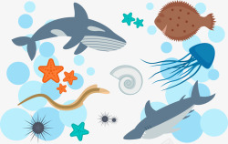 彩绘海底动物素材