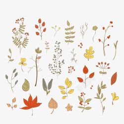 彩绘秋季叶子和花卉素材
