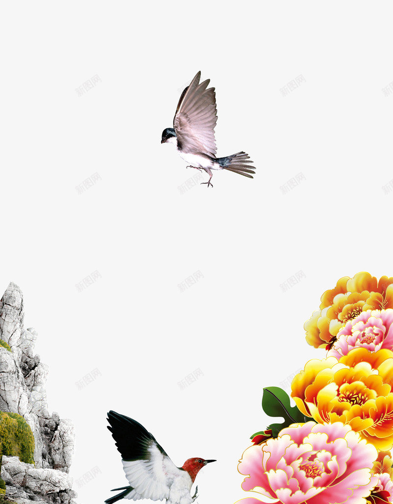 花上的喜鹊psd免抠素材_新图网 https://ixintu.com 两只喜鹊 喜雀 展翅高飞的喜鹊 花上的喜鹊 花朵 飞翔的喜鹊