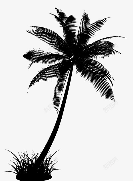 椰子树的剪影矢量图ai免抠素材_新图网 https://ixintu.com 树 树木 植物 椰子 椰子树 矢量图