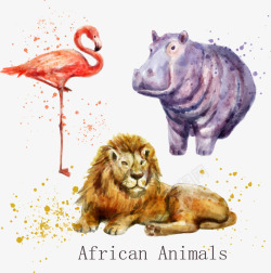 水彩绘非洲动物素材