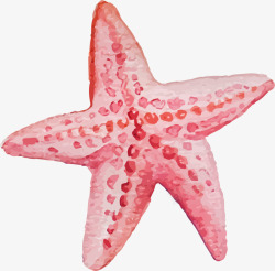 橙粉色海星夏天气息沙滩海星高清图片