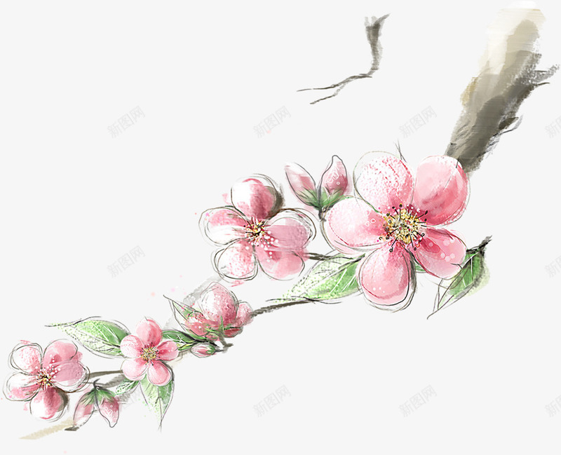 涂鸦植物树木花朵png免抠素材_新图网 https://ixintu.com 树木 植物 涂鸦 花朵