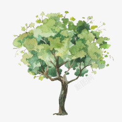 手绘水彩绿色树木素材