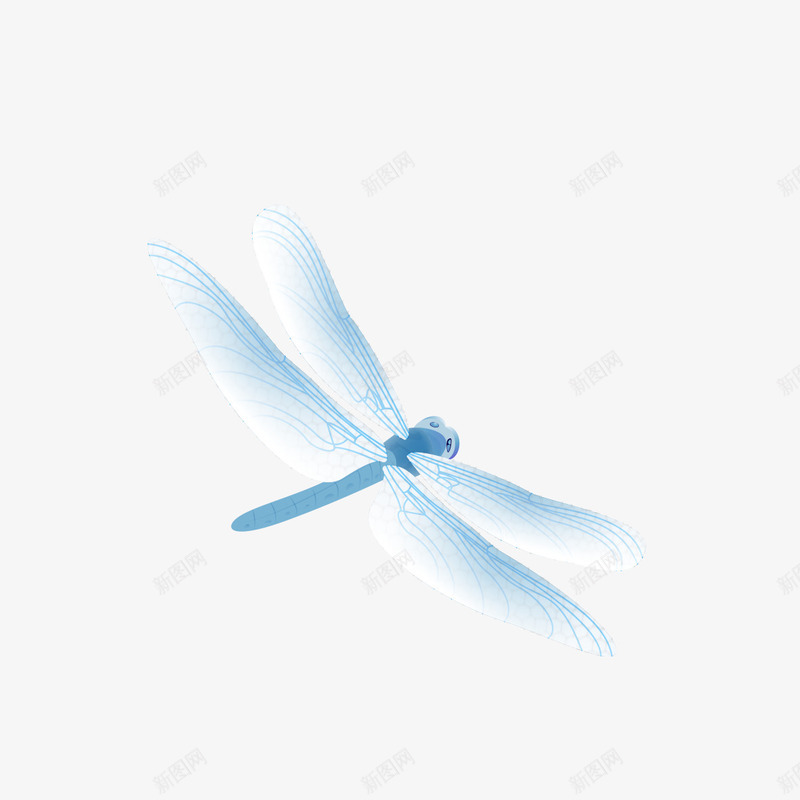 蓝色蜻蜓png免抠素材_新图网 https://ixintu.com 动物 蓝色 蓝色蜻蜓 蜻蜓 飞翔