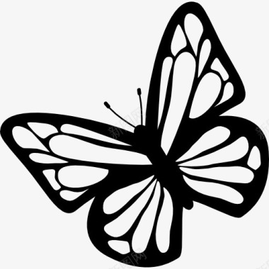 蝴蝶顶视图图标图标