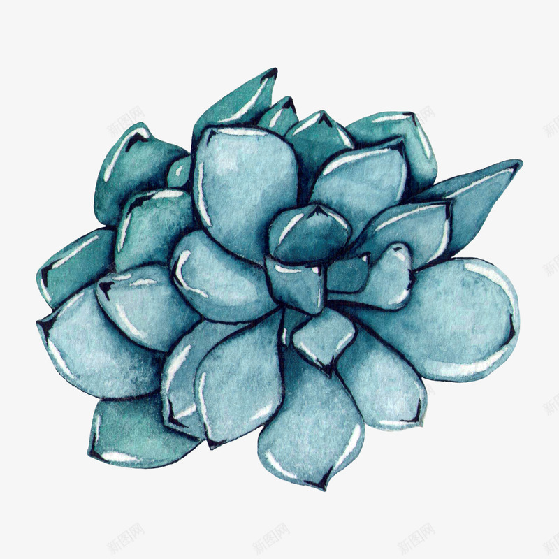 手绘蓝色的花png免抠素材_新图网 https://ixintu.com 手绘画 矢量装饰 花朵 蓝色 装饰