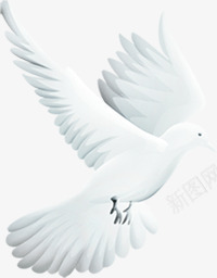 白色手绘飞翔和平鸽造型png免抠素材_新图网 https://ixintu.com 和平鸽 白色 造型 飞翔