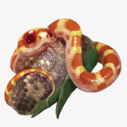 玉米蛇水彩橙色玉米蛇高清图片