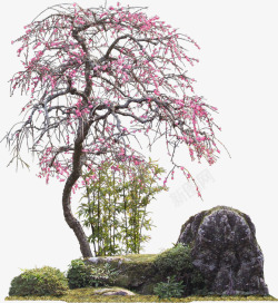假山粉色花朵树木素材
