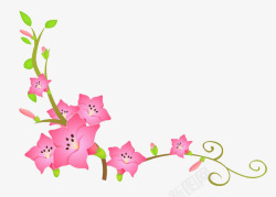 美丽的喇叭花粉色喇叭花植株藤蔓高清图片