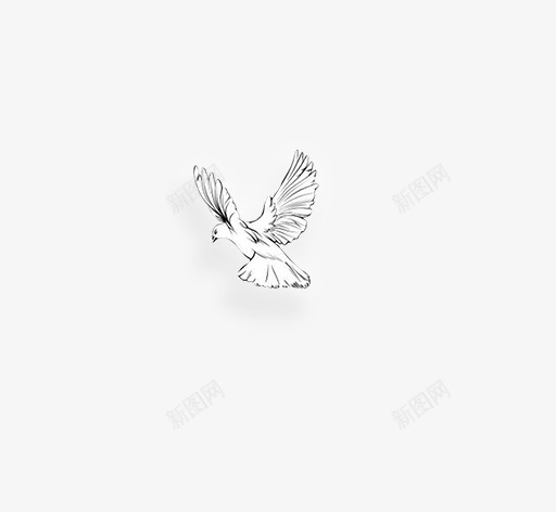 飞翔的和平鸽手绘图png免抠素材_新图网 https://ixintu.com 和平鸽 手绘图 素描画 羽毛 翅膀 飞翔 鸽子