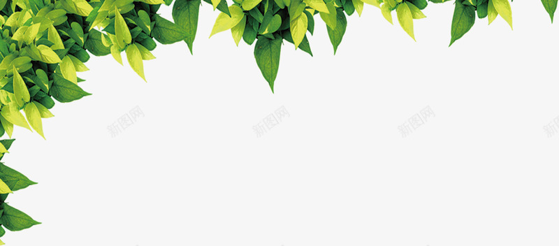 绿色彩绘树叶效果合成png免抠素材_新图网 https://ixintu.com 合成 彩绘 效果 树叶 绿色