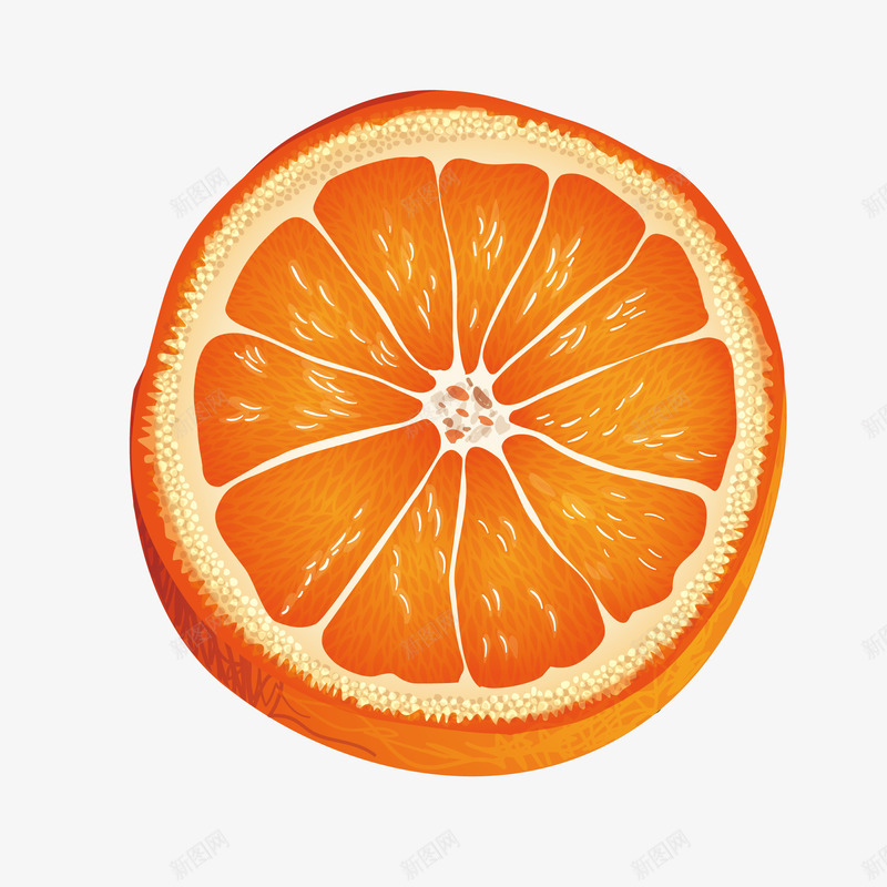 手绘卡通橙子矢量图eps免抠素材_新图网 https://ixintu.com png手绘 免抠图 切割 卡通 可爱 橙子 橙色 白色 矢量图