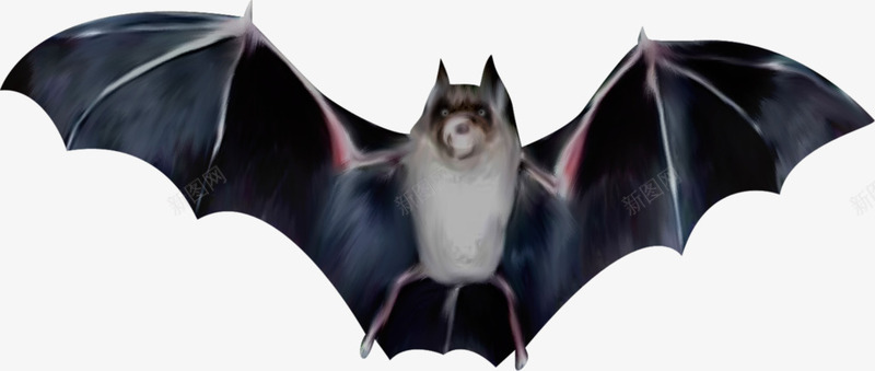手绘万圣节飞翔的蝙蝠png免抠素材_新图网 https://ixintu.com 万圣节 手绘 蝙蝠 阴森 飞翔