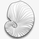 黑白贝壳背景夏天贝壳海螺元素高清图片