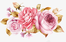 彩绘玫瑰花花朵素材