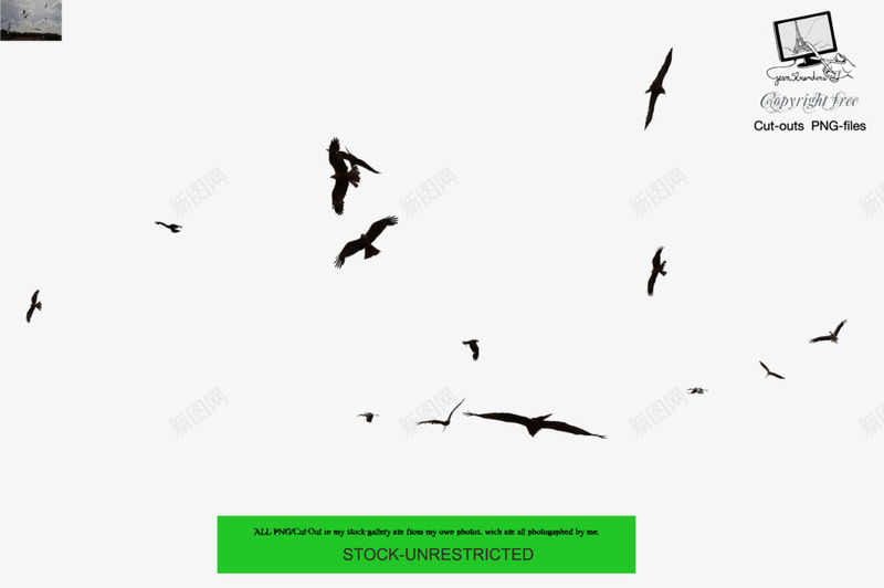 黑色飞翔的鸟png免抠素材_新图网 https://ixintu.com png素材 飞翔的鸟 黑色
