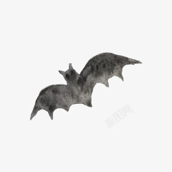 展翅的蝙蝠卡通蝙蝠高清图片