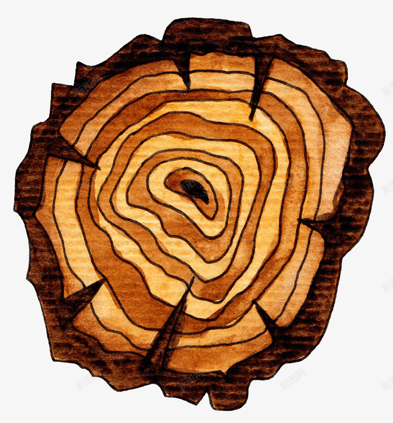 树木木桩俯视图简图png免抠素材_新图网 https://ixintu.com 俯视图 手绘图 木块 木头 木桩 树木 植物 纹路