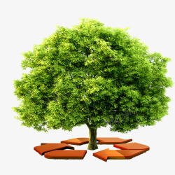 树木生态循环素材