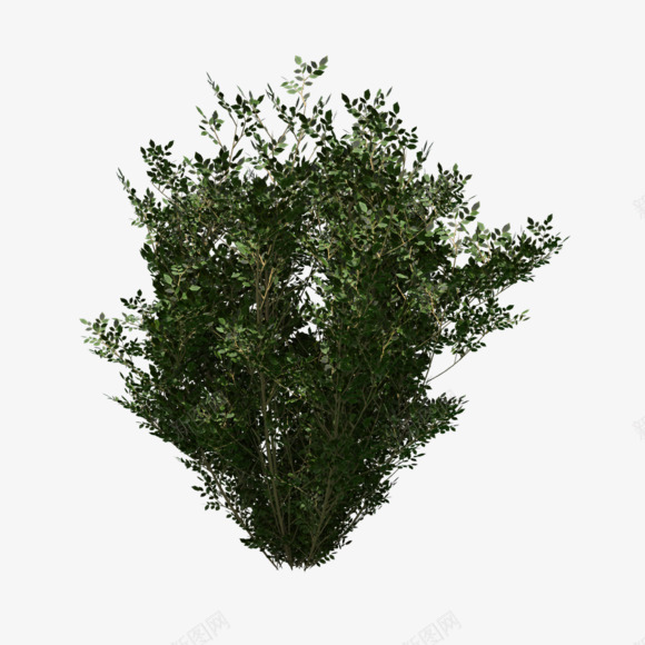 树木植树节树木装饰png免抠素材_新图网 https://ixintu.com 树木 植树节 装饰