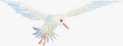 白色手绘飞翔的海鸥素材
